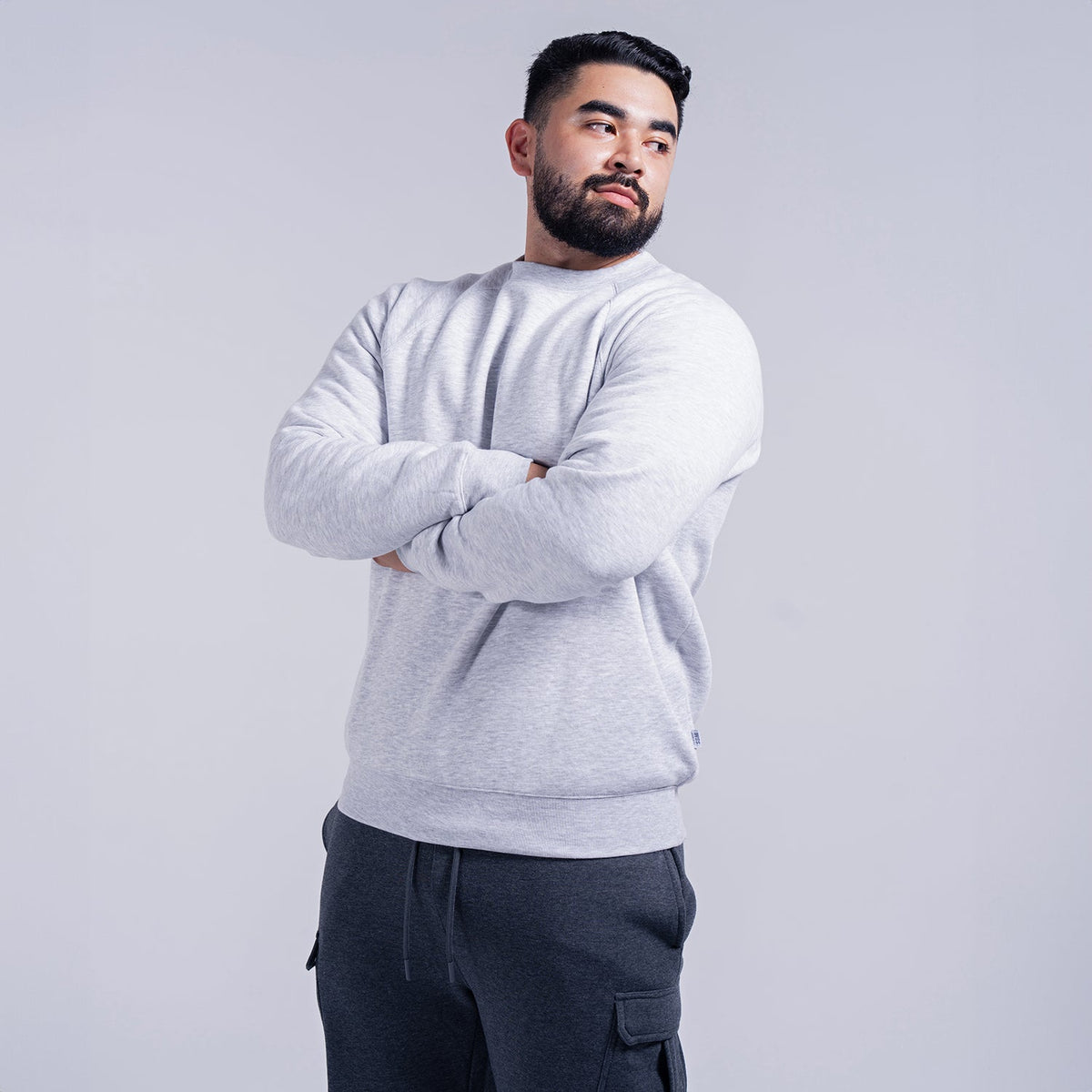 Light Gray Fleece Crew Neck Sweatshirt for Men